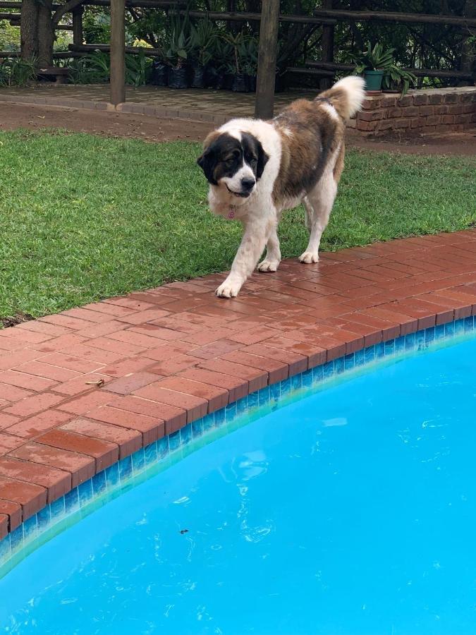 Roosfontein Bed And Breakfast Durban Extérieur photo