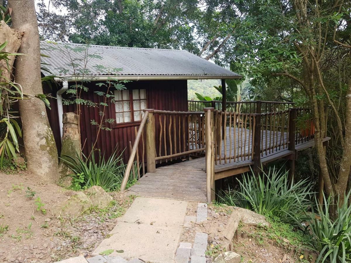 Roosfontein Bed And Breakfast Durban Extérieur photo